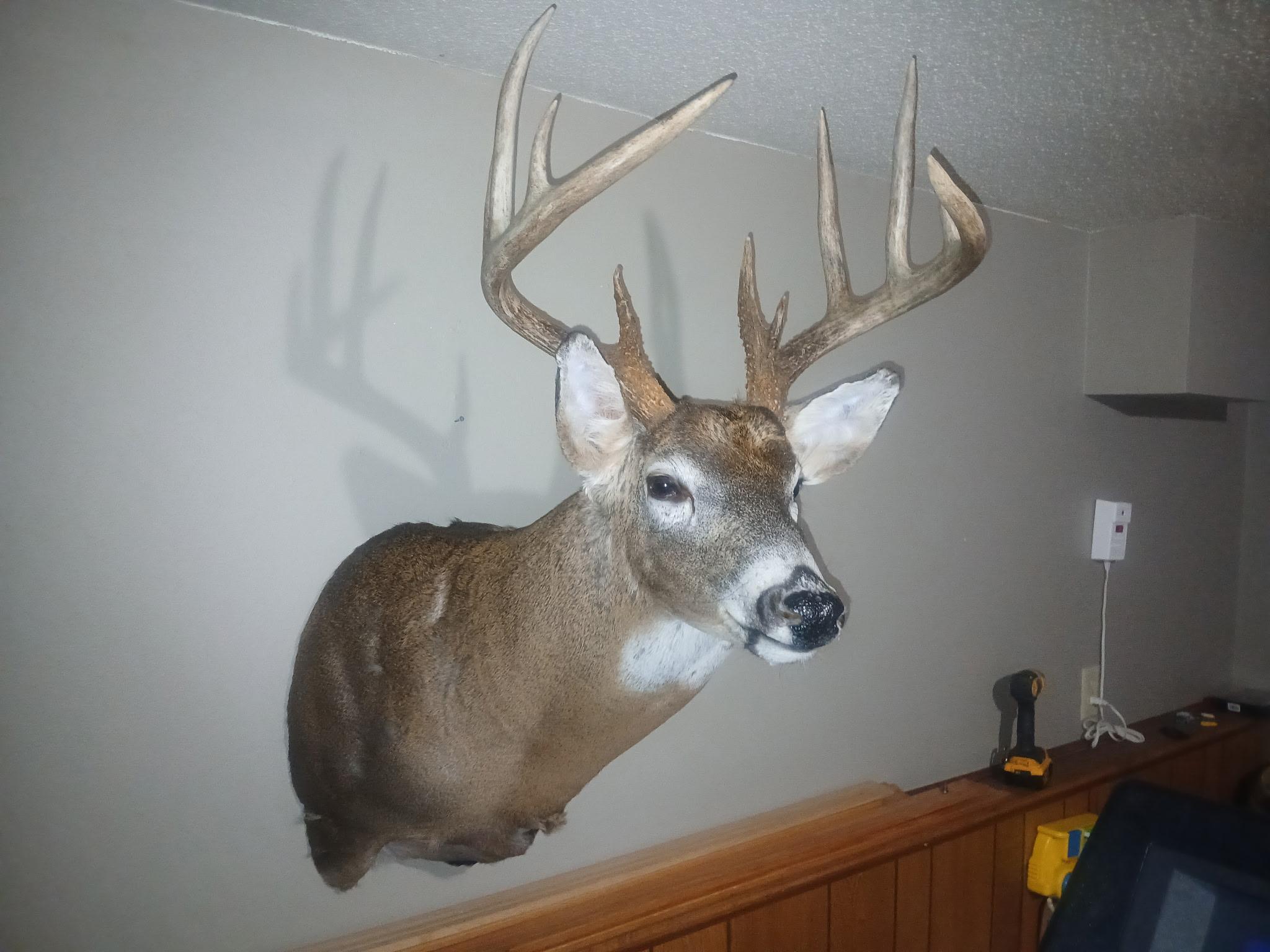 26904 Cedar Road Cushing, MN 56443 - Photo 64 of 65