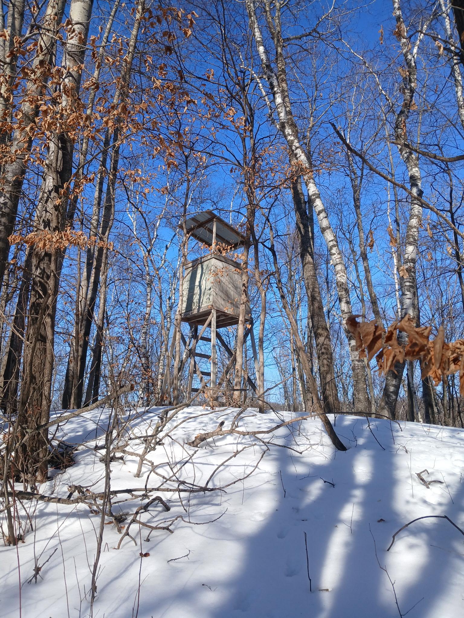 26904 Cedar Road Cushing, MN 56443 - Photo 65 of 65