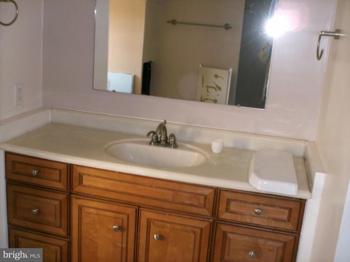 22060 Dover Bridge Road Preston, MD 21655 - Photo 4 of 9 Bath (Master)