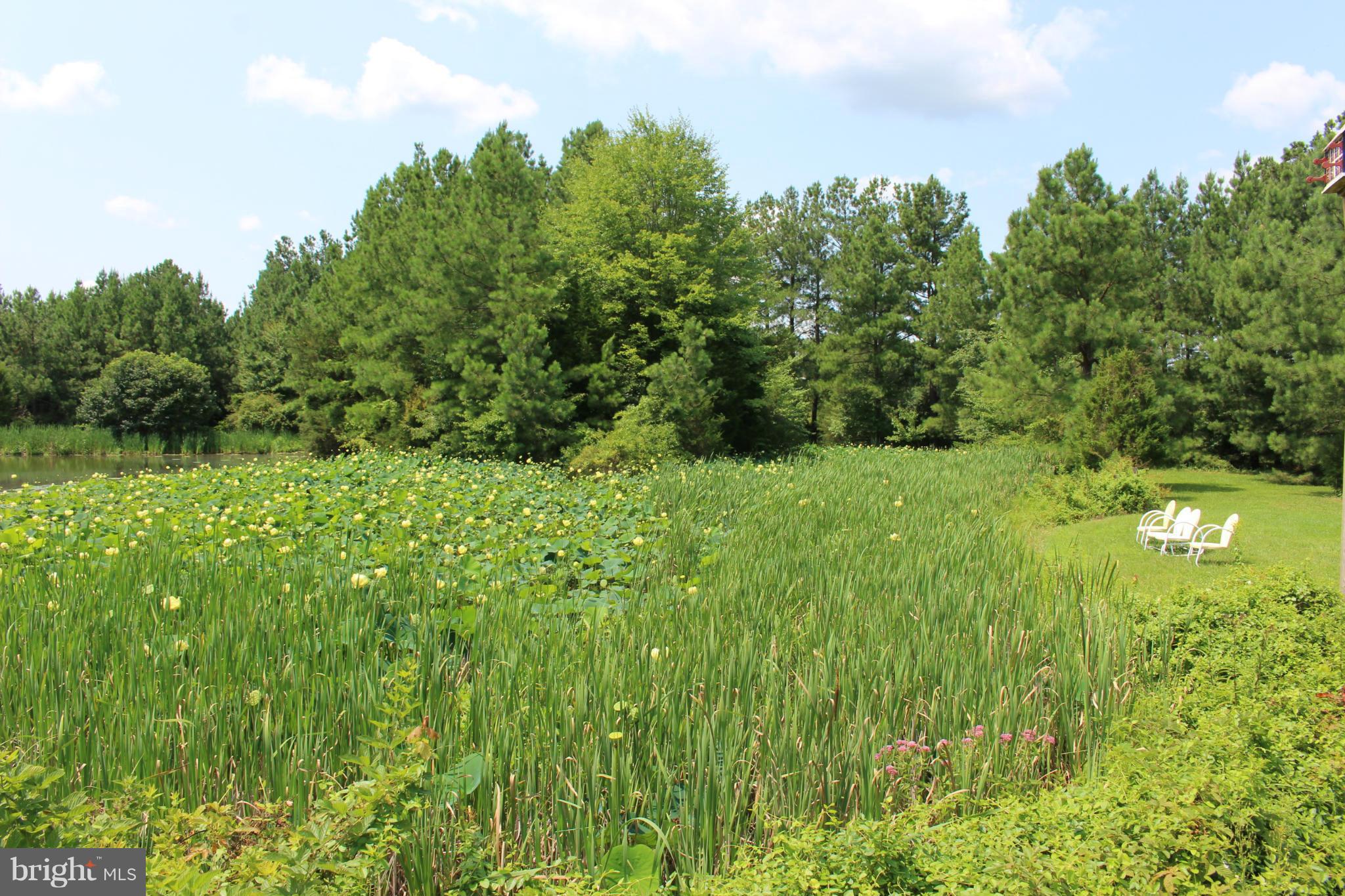 4120 Dumfries Road Catlett, VA 20119 - Photo 4 of 25 View