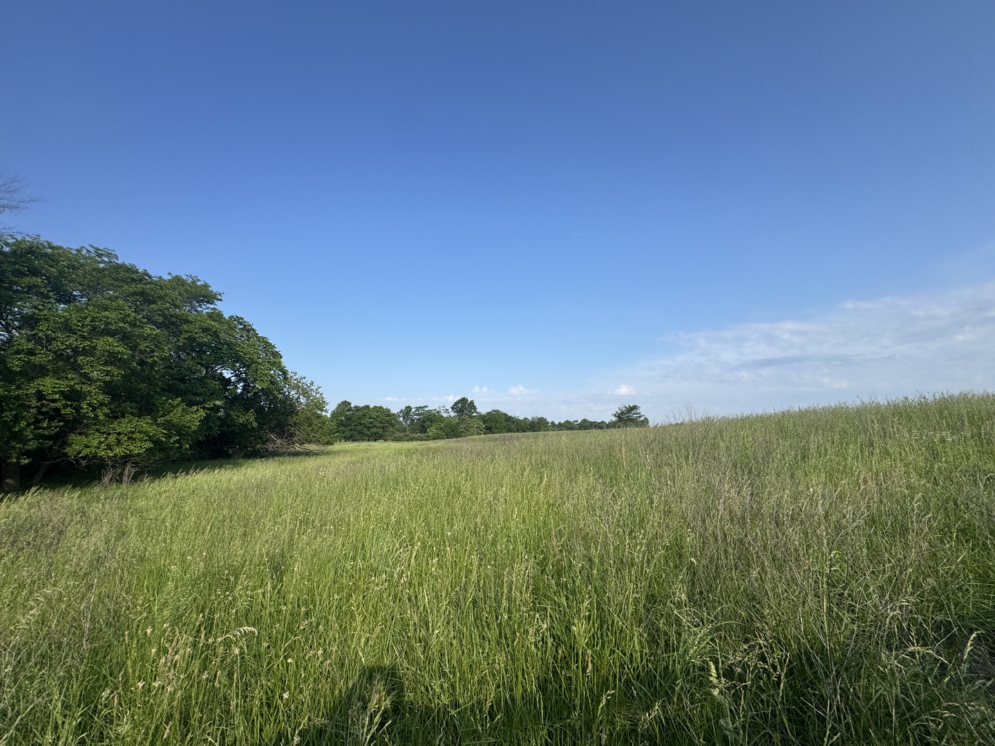 0 County Highway 29 Road Rinard, IL 62878 - Photo 25 of 28