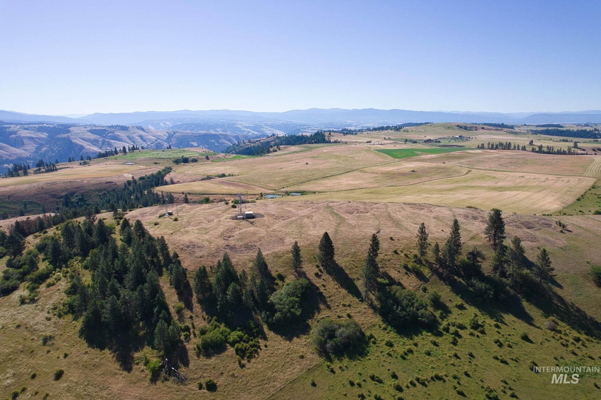 Doty Road Kamiah, ID 83536 - Photo 13 of 19