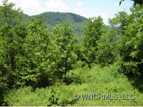 791 Henderson Road, Unit 1 Canton, NC 28716 - Photo 2 of 12