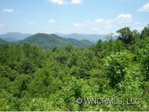 791 Henderson Road, Unit 1 Canton, NC 28716 - Photo 3 of 12
