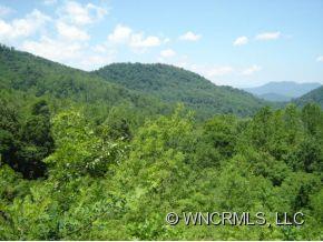 791 Henderson Road, Unit 1 Canton, NC 28716 - Photo 4 of 12