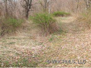 791 Henderson Road, Unit 1 Canton, NC 28716 - Photo 8 of 12