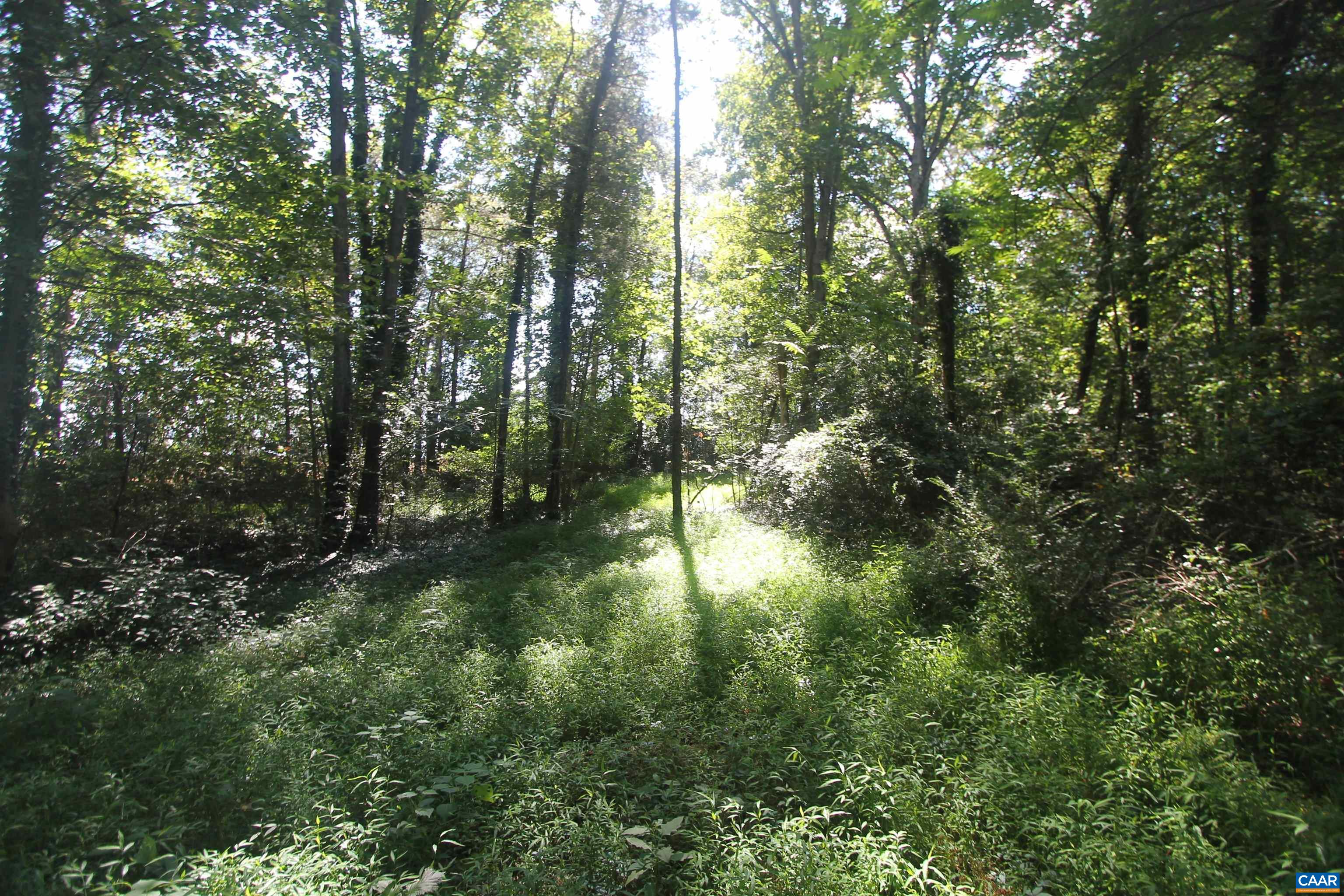 0 Seminole Trail Rochelle, VA 22738 - Photo 11 of 11