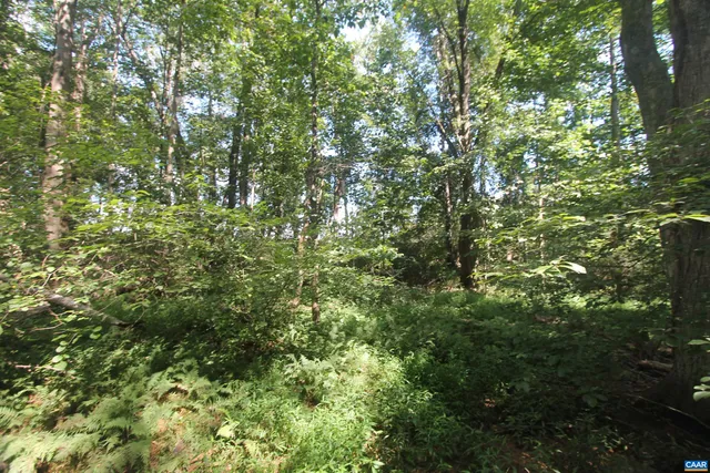 $575,000 | 0 Seminole Trail, Rochelle, VA 22738