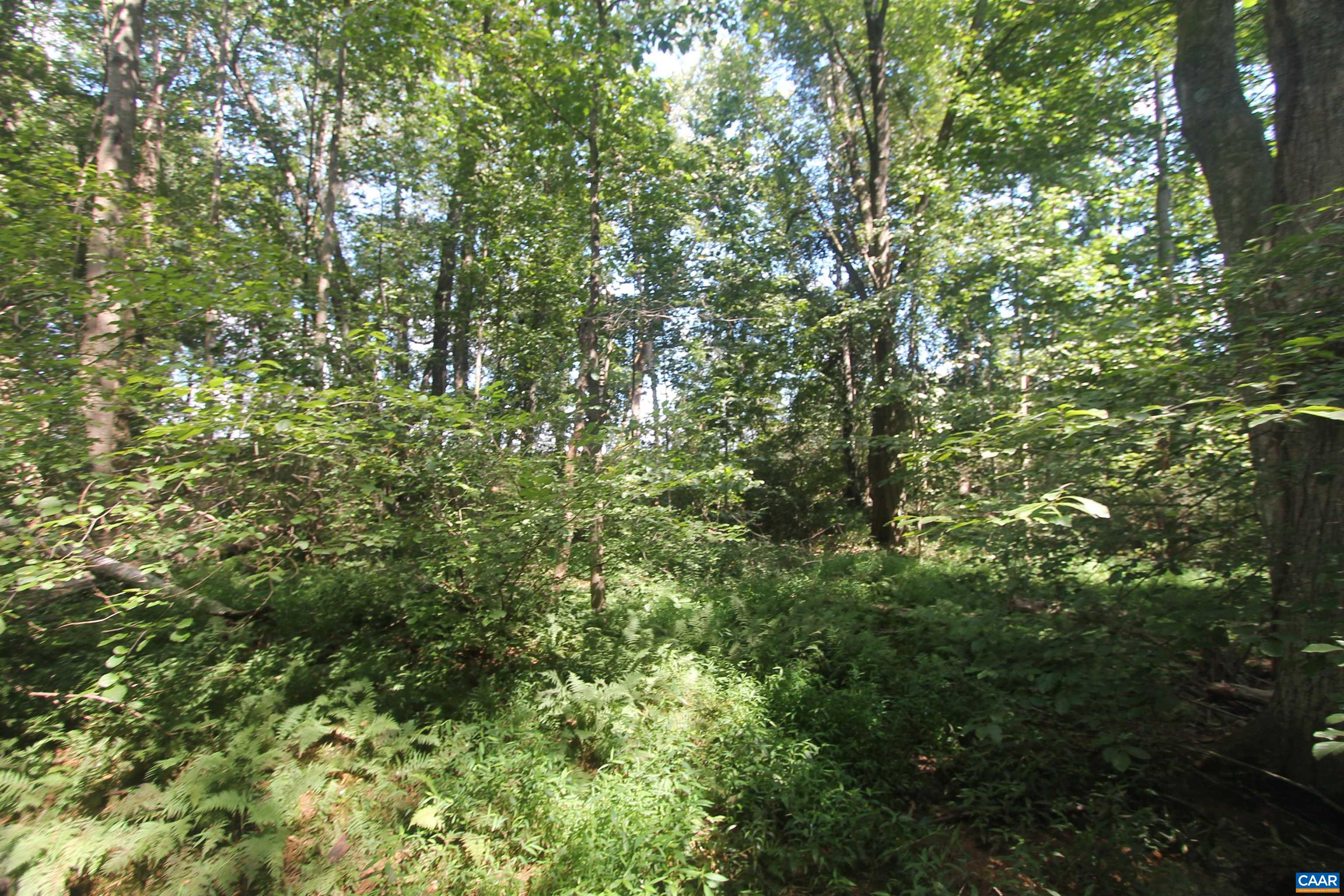 0 Seminole Trail Rochelle, VA 22738 - Photo 5 of 11