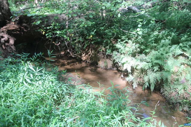 $575,000 | 0 Seminole Trail, Rochelle, VA 22738