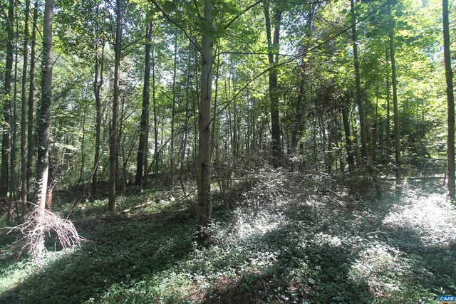 $575,000 | 0 Seminole Trail, Rochelle, VA 22738