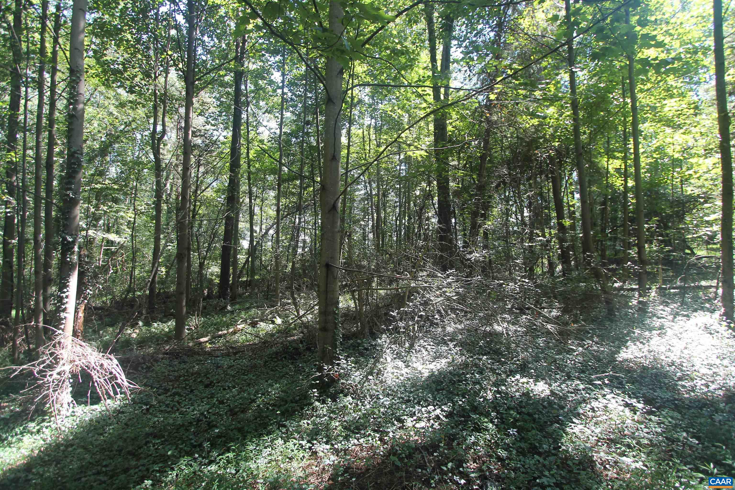 0 Seminole Trail Rochelle, VA 22738 - Photo 8 of 11