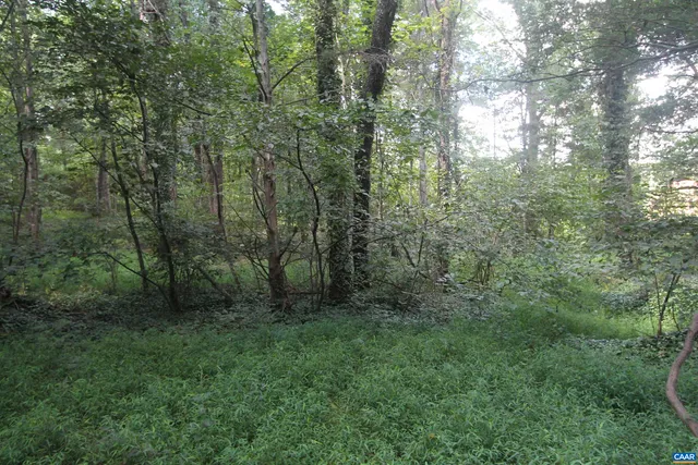 $575,000 | 0 Seminole Trail, Rochelle, VA 22738