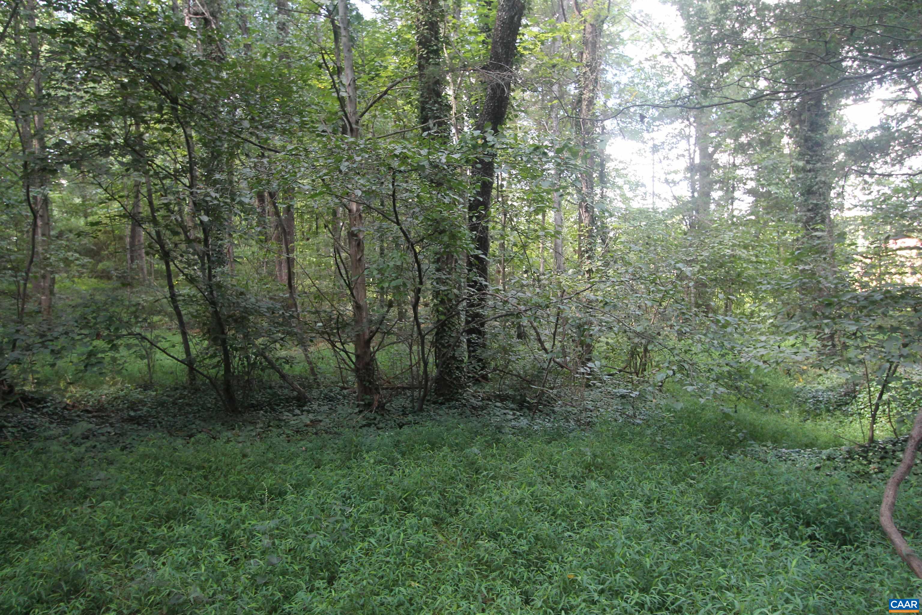 0 Seminole Trail Rochelle, VA 22738 - Photo 10 of 11