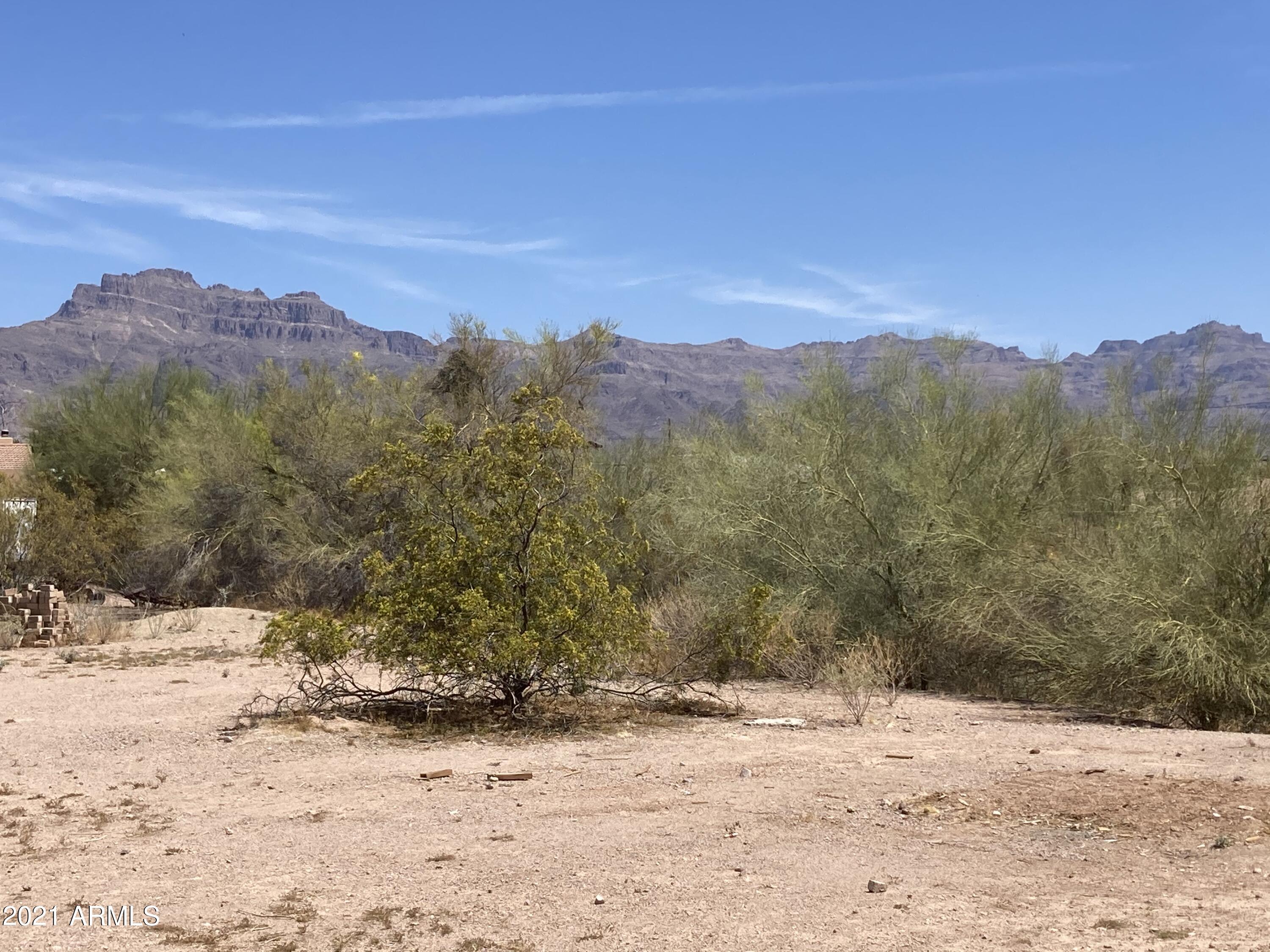 2551 South Cortez Road Apache Junction, AZ 85119 - Photo 33 of 33 IMG_0973
