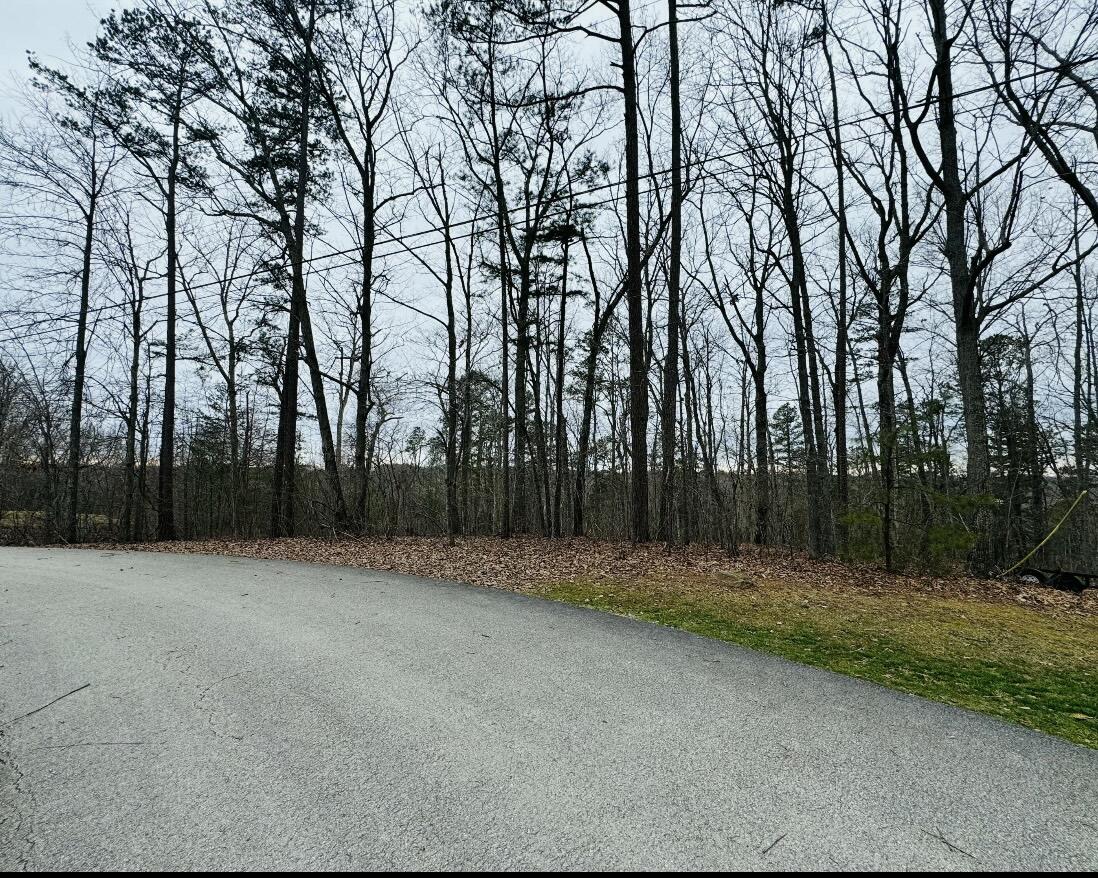 0 Sandy Hills Road Corbin, KY 40701 - Photo 7 of 7 IMG_3757