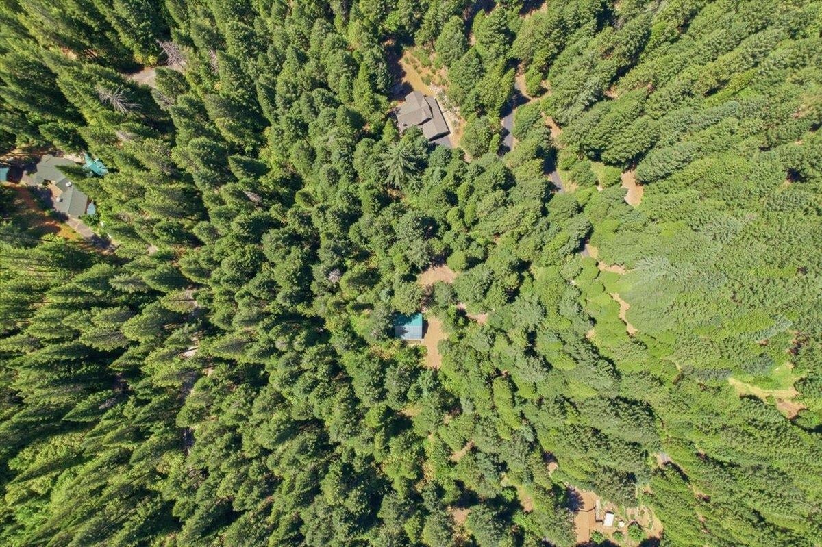 20929 Fall Crk Road Dunsmuir, CA 96025 - Photo 25 of 28 Gallery Image 25