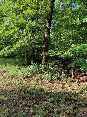 $325,000 | 0 Highway 160w-13 Doniphan Mo 63935, Doniphan, MO 63935