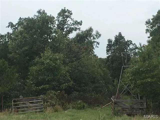 $325,000 | 0 Highway 160w-13 Doniphan Mo 63935, Doniphan, MO 63935