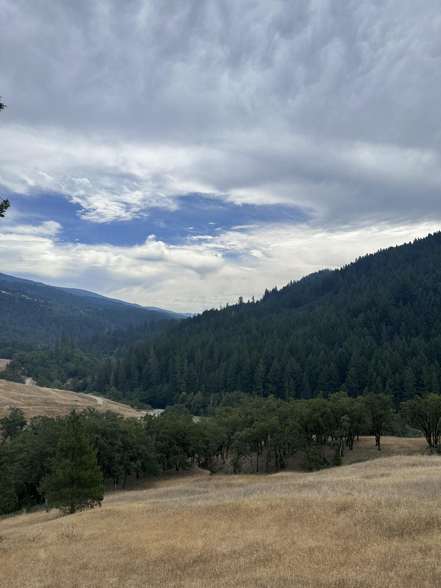 0 River Road Miranda, CA 95553 - Photo 13 of 31