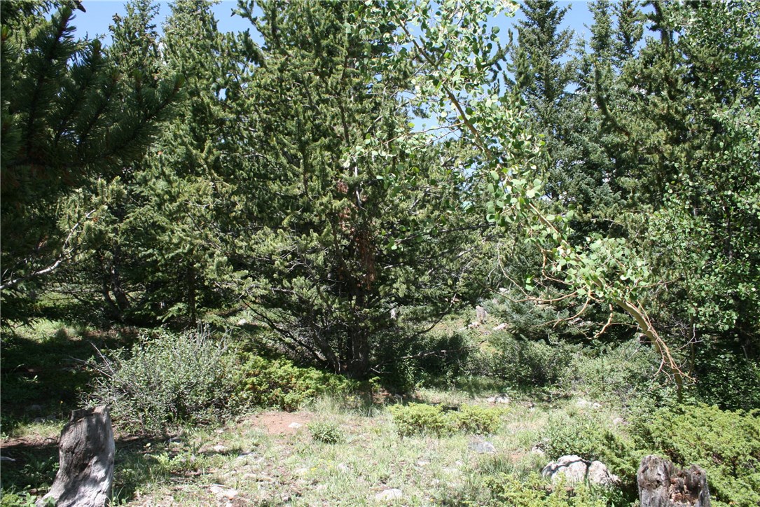 Tbd Quartzville Road Alma, CO 80420 - Photo 12 of 13 Gallery Image 12