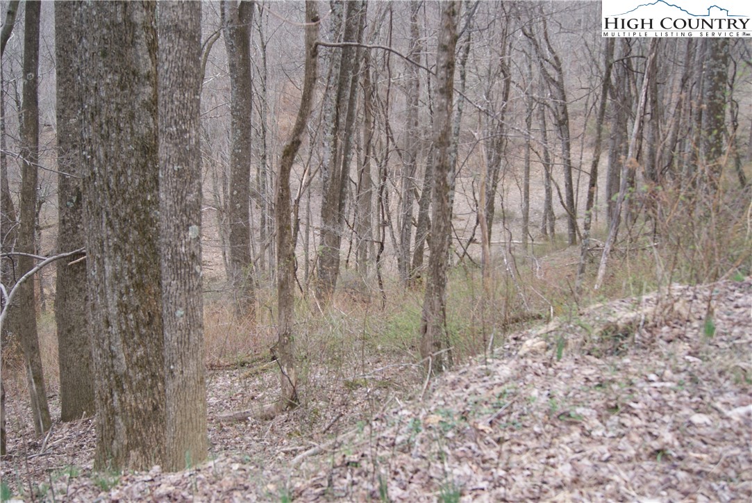 Lot 56 Toms Knob Road Sparta, NC 28675 - Photo 3 of 9