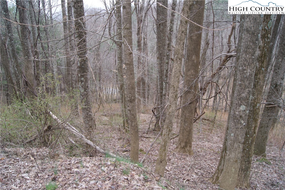 Lot 56 Toms Knob Road Sparta, NC 28675 - Photo 4 of 9