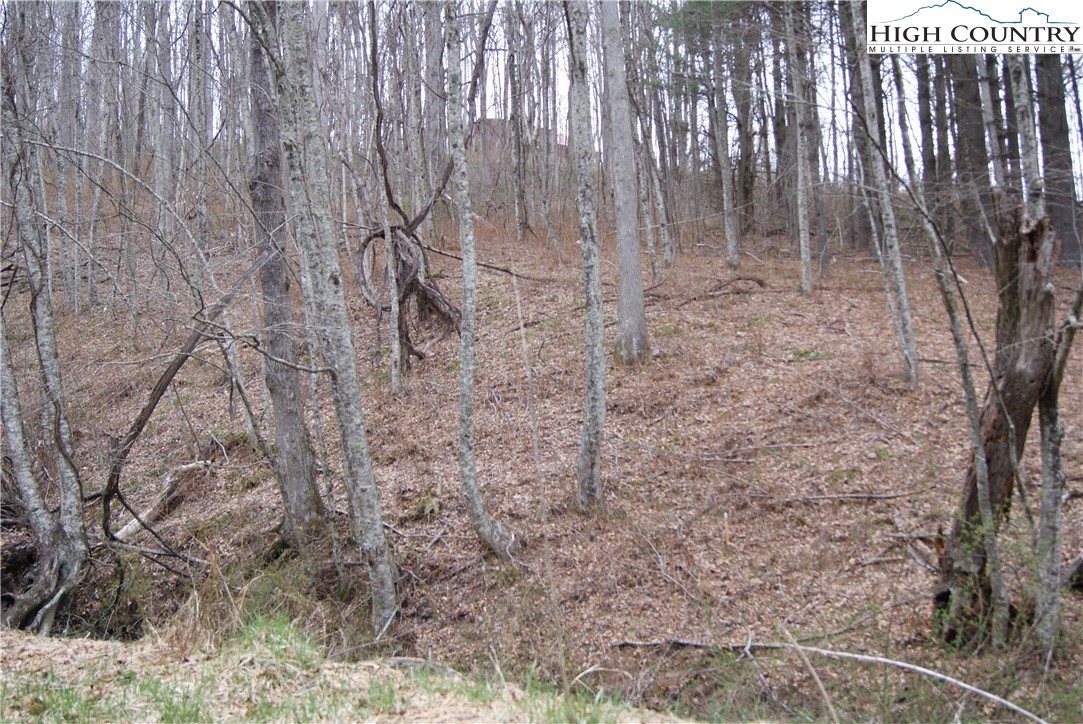 Lot 56 Toms Knob Road Sparta, NC 28675 - Photo 5 of 9