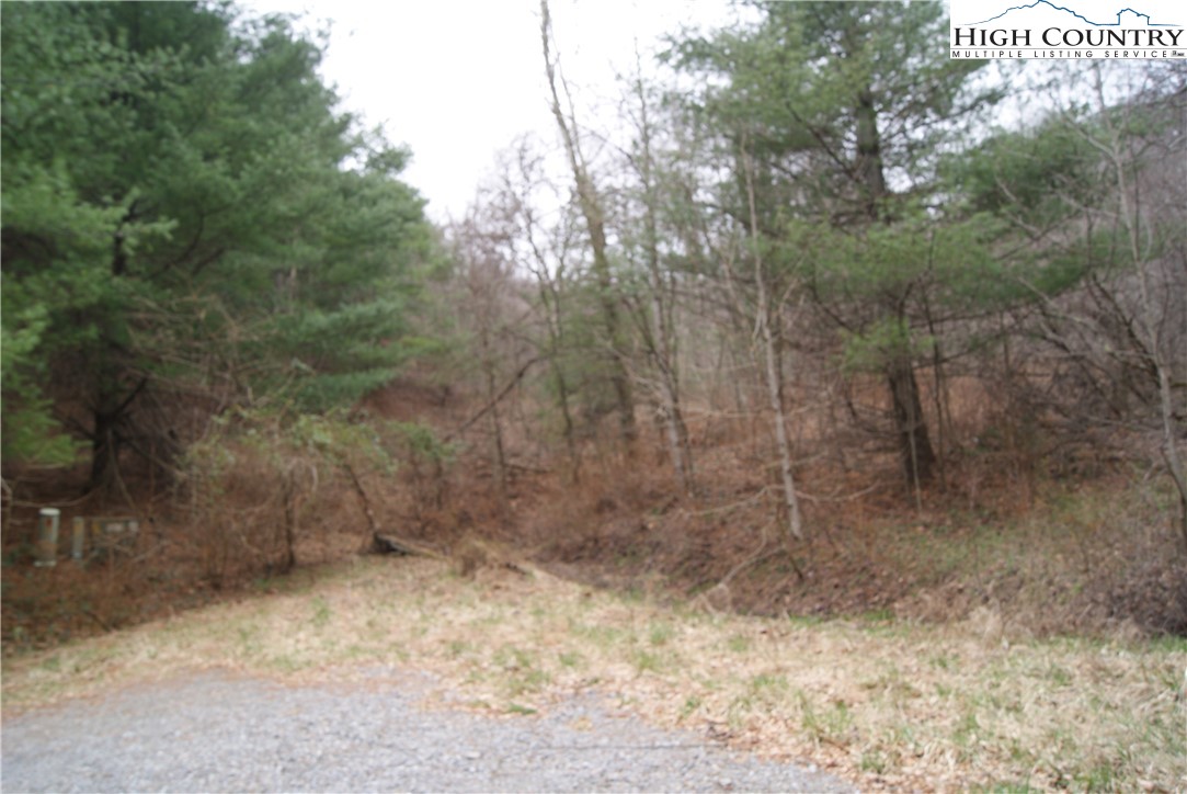 Lot 56 Toms Knob Road Sparta, NC 28675 - Photo 6 of 9