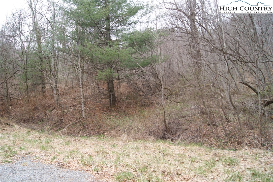 Lot 56 Toms Knob Road Sparta, NC 28675 - Photo 7 of 9
