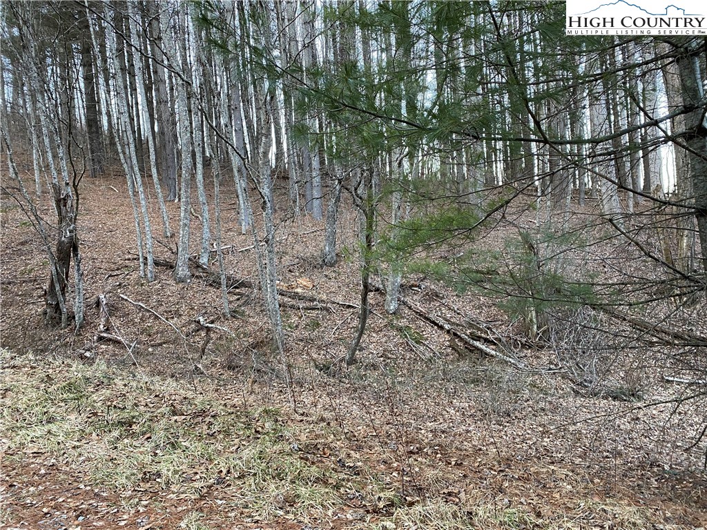 Lot 56 Toms Knob Road Sparta, NC 28675 - Photo 8 of 9