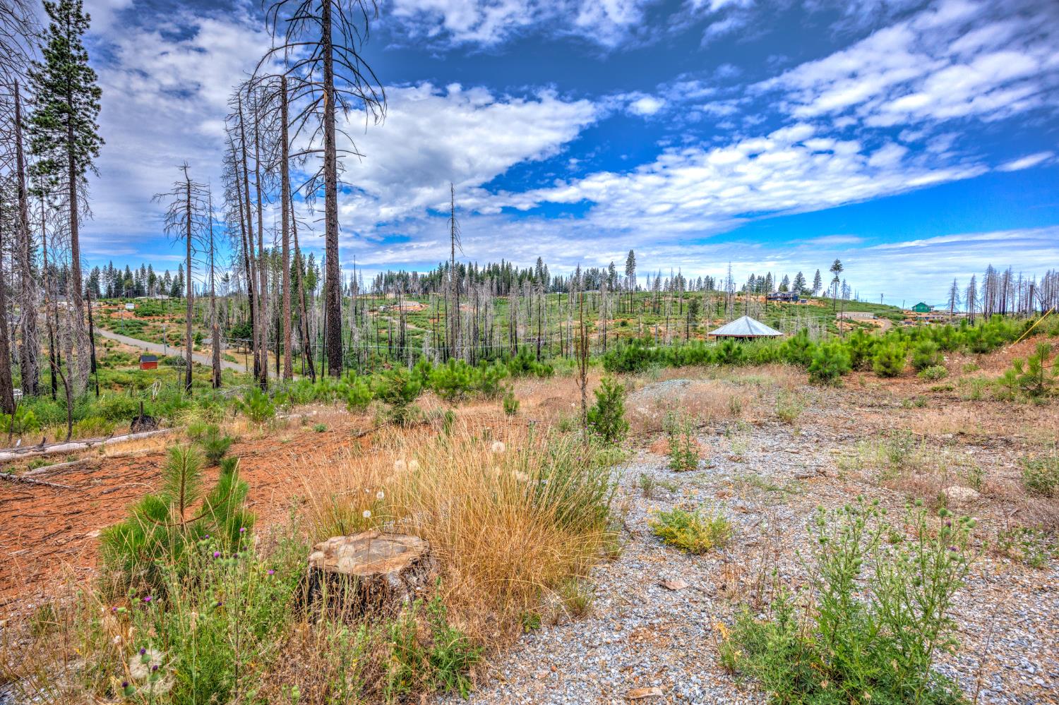 4529 String Canyon Road Grizzly Flats, CA 95636 - Photo 7 of 17