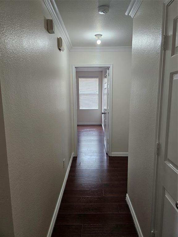 3009 Meadow Bluff Drive Wylie, TX 75098 - Photo 16 of 24 a view of gallery