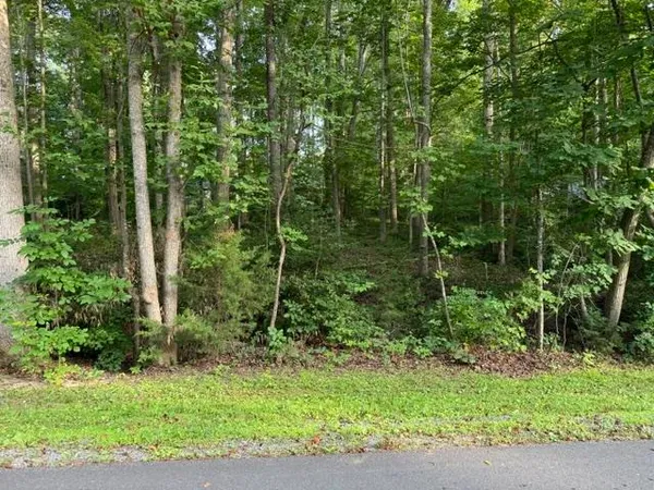 $10,000 | Tbd Ellis Drive, Louisa, VA 23093