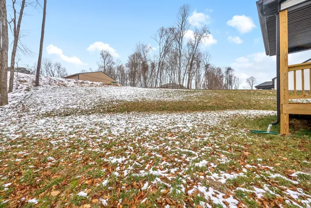 a view of a yard with a tree