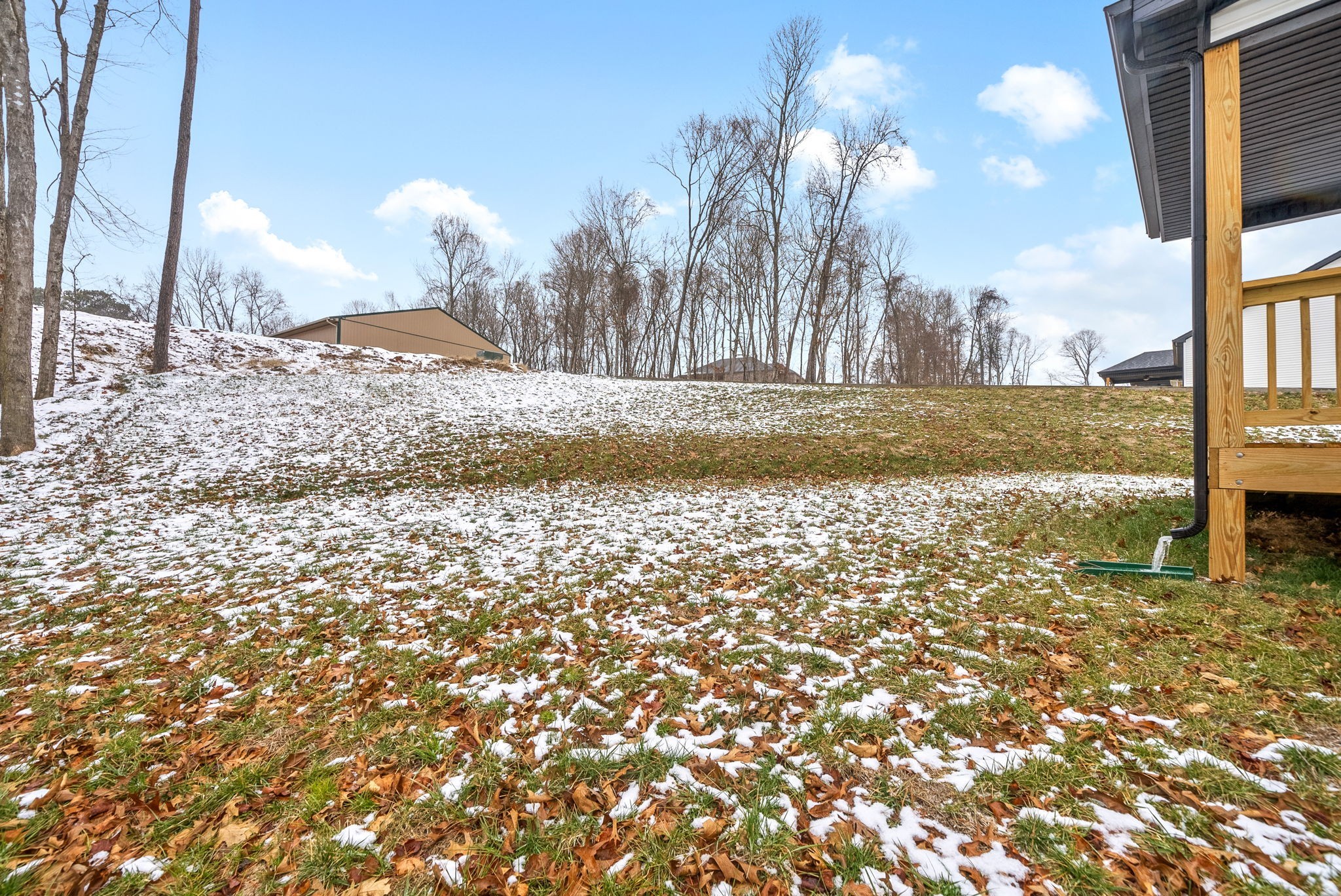 1237 Cardinal Crk Drive Clarksville, TN 37040 - Photo 25 of 26 a view of a yard with a tree