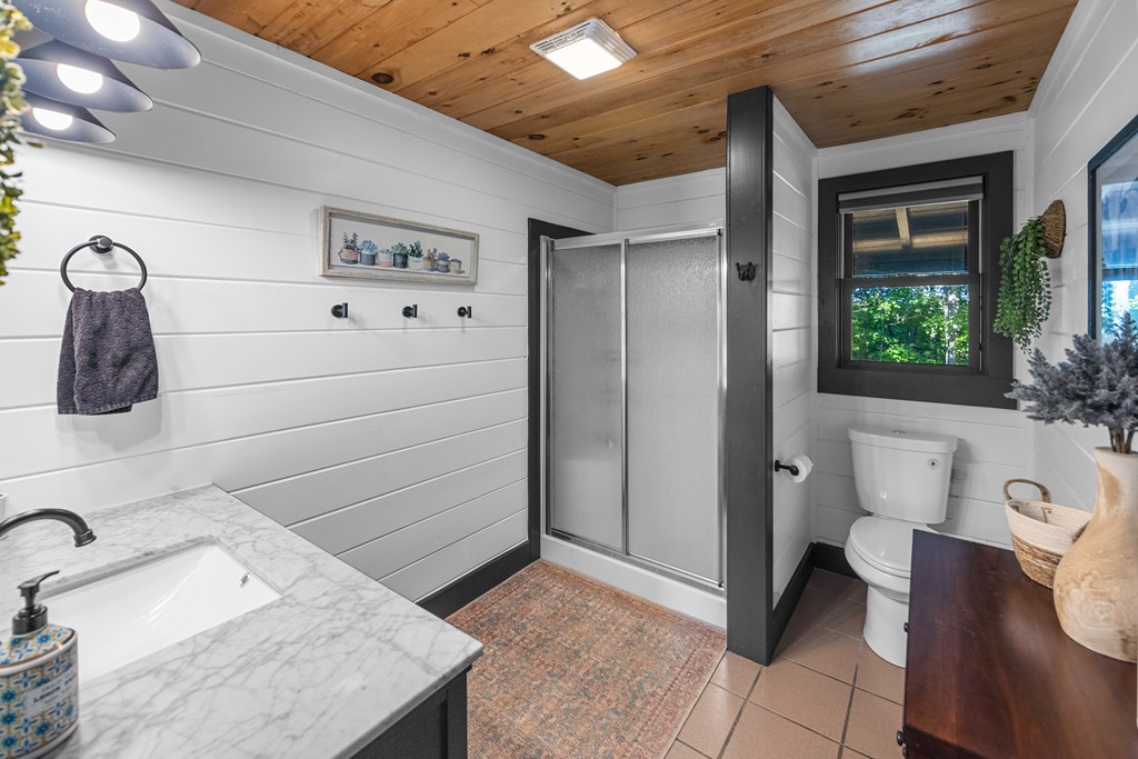 832 Scenic Mountain View Road Blue Ridge, GA 30513 - Photo 18 of 55