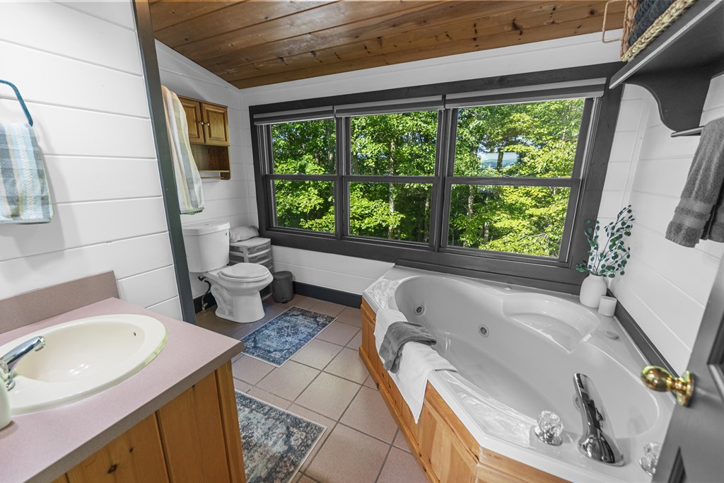 832 Scenic Mountain View Road Blue Ridge, GA 30513 - Photo 21 of 55