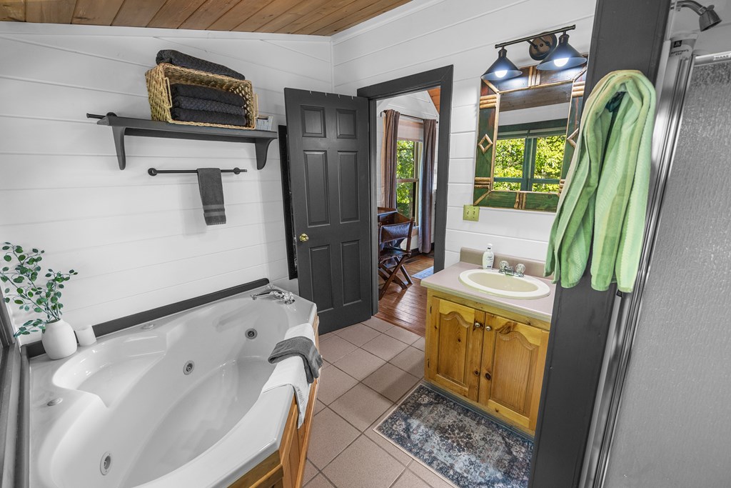 832 Scenic Mountain View Road Blue Ridge, GA 30513 - Photo 22 of 55