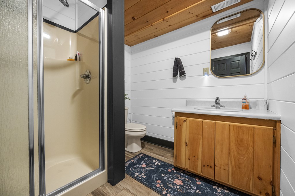 832 Scenic Mountain View Road Blue Ridge, GA 30513 - Photo 32 of 55