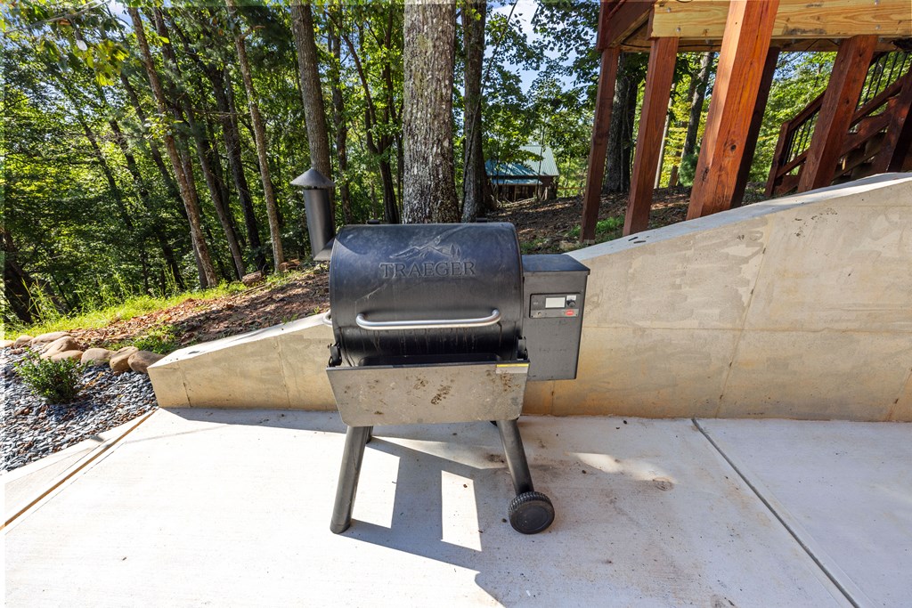 832 Scenic Mountain View Road Blue Ridge, GA 30513 - Photo 44 of 55