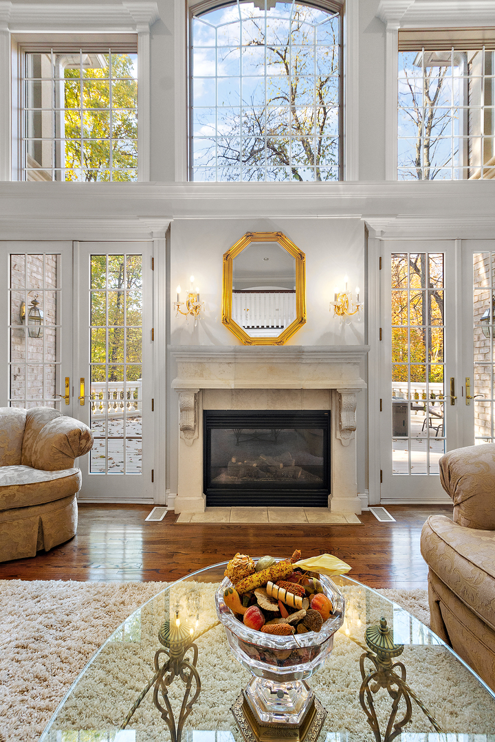 721 Chatfield Road New Lenox, IL 60451 - Photo 18 of 76 a living room with furniture and a fireplace