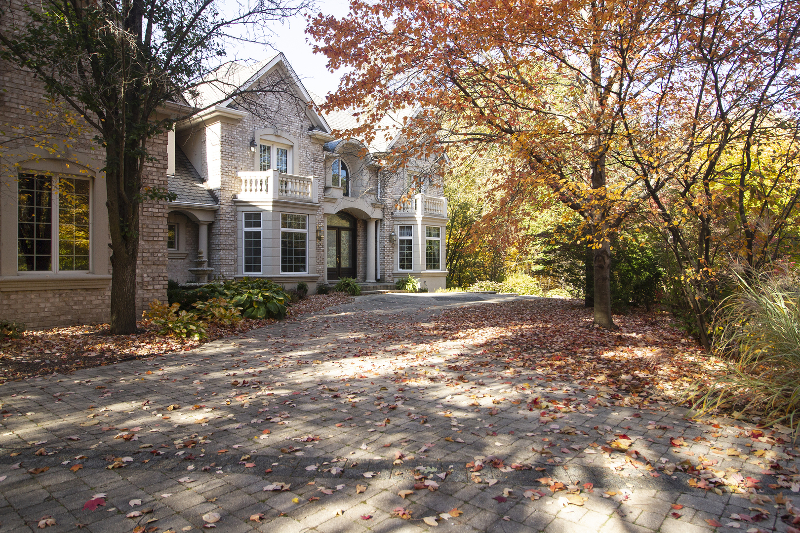 721 Chatfield Road New Lenox, IL 60451 - Photo 6 of 76