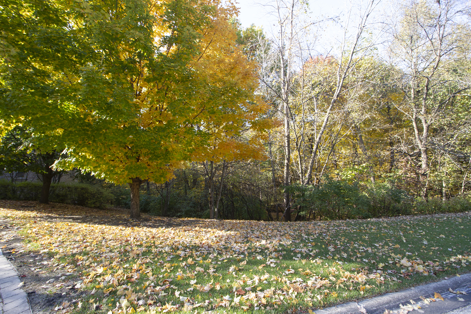 721 Chatfield Road New Lenox, IL 60451 - Photo 9 of 76