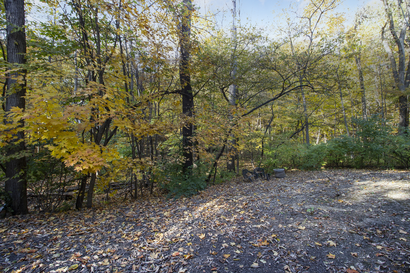 721 Chatfield Road New Lenox, IL 60451 - Photo 10 of 76