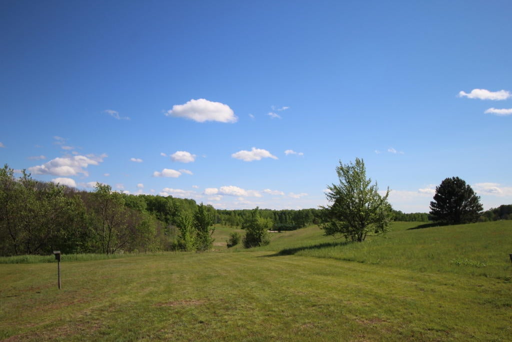 5229 Dunham Road Wolverine, MI 49799 - Photo 10 of 49 Gallery Image 10