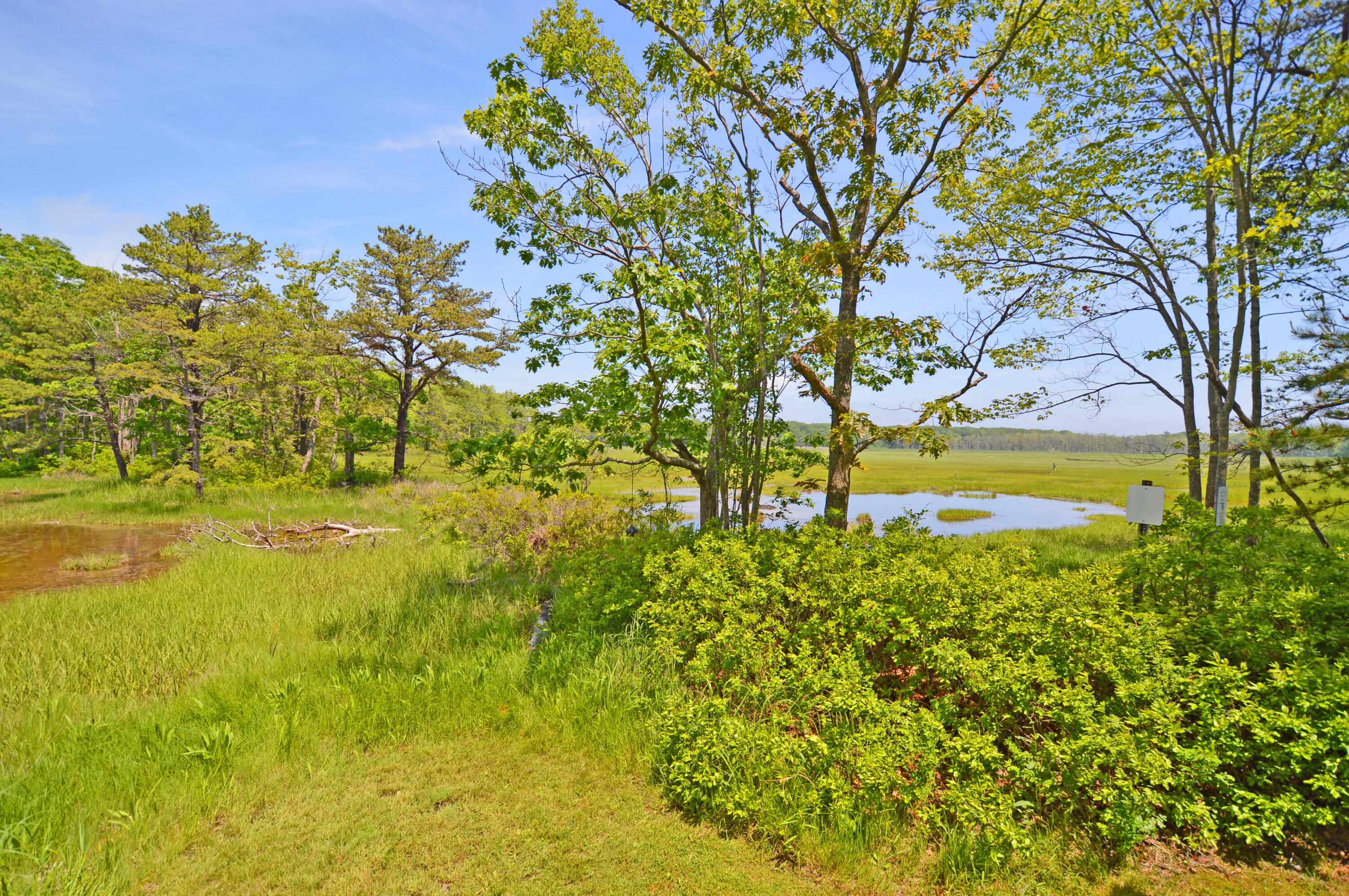 23 Dyke Road, Unit 23 Kennebunkport, ME 04046 - Photo 7 of 22 23Dyke_BrView2
