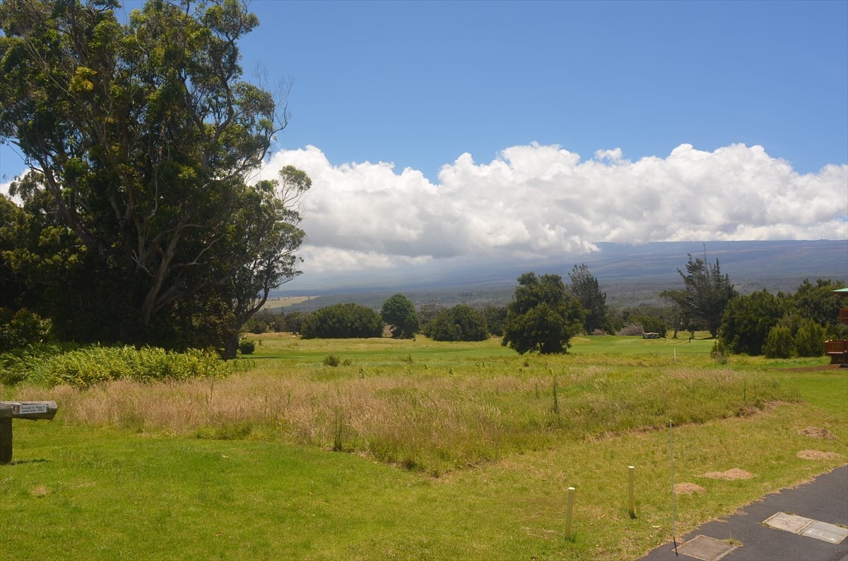 83 Liko Lehua Road Volcano, HI 96785 - Photo 15 of 15 Gallery Image 15