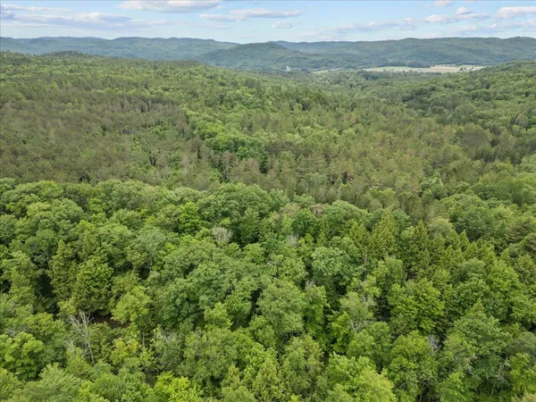 $1,050,000 | 91 Governor Peck Road, Jericho, VT 05465