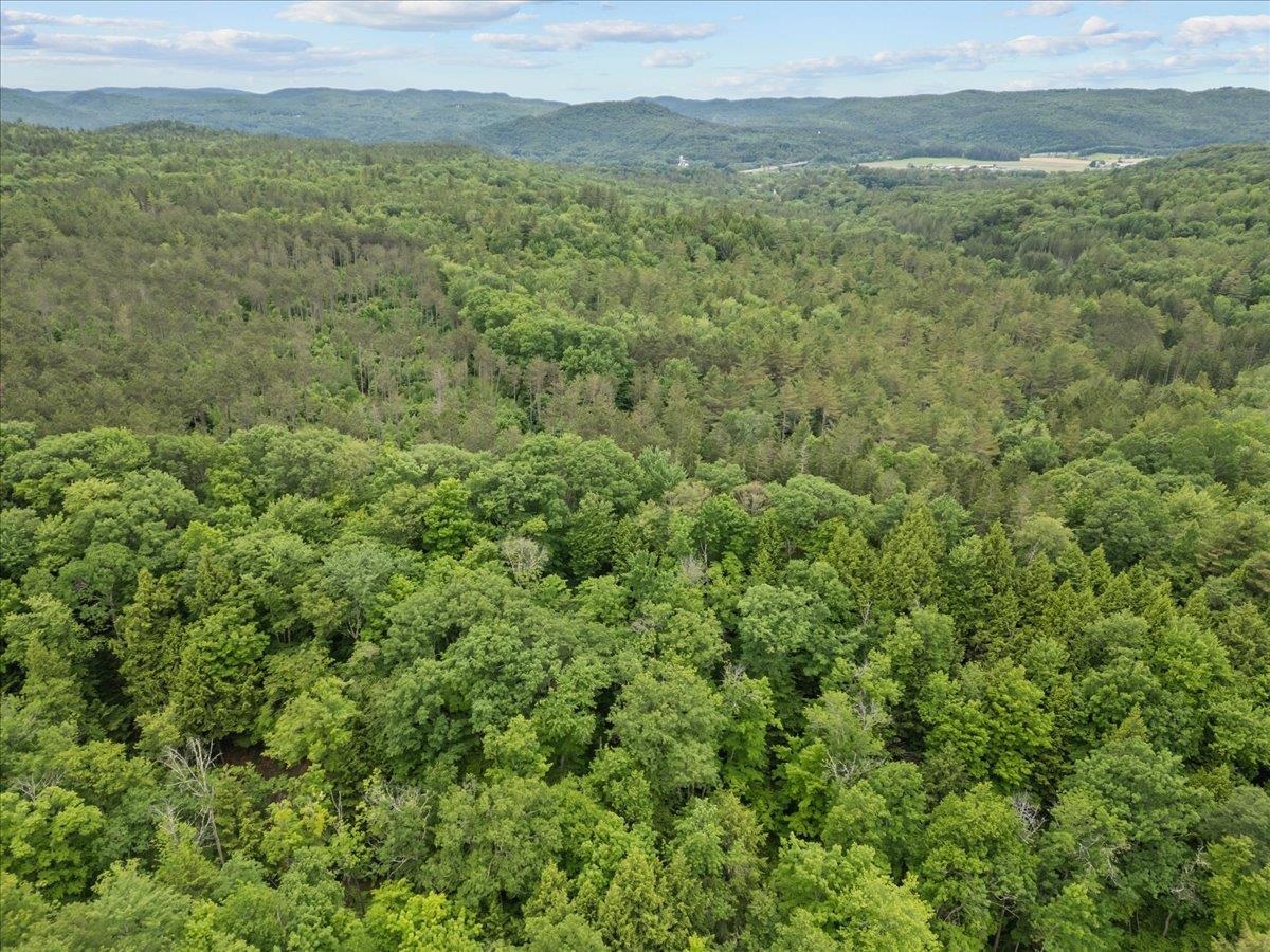 91 Governor Peck Road Jericho, VT 05465 - Photo 11 of 15